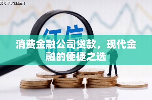 丽水消费金融公司贷款，现代金融的便捷之选