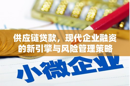 丽水供应链贷款，现代企业融资的新引擎与风险管理策略