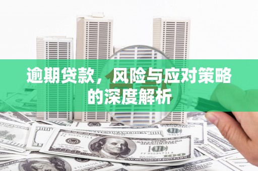 丽水逾期贷款，风险与应对策略的深度解析