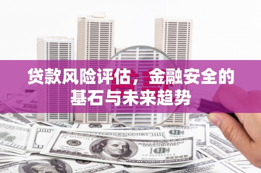 丽水贷款风险评估，金融安全的基石与未来趋势