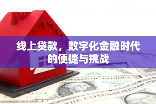 丽水线上贷款，数字化金融时代的便捷与挑战