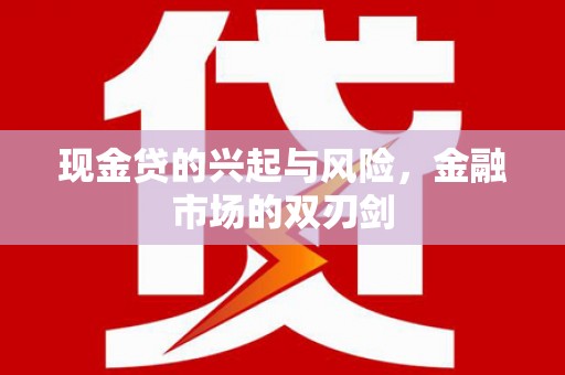丽水现金贷的兴起与风险，金融市场的双刃剑