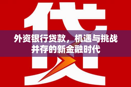 丽水外资银行贷款，机遇与挑战并存的新金融时代
