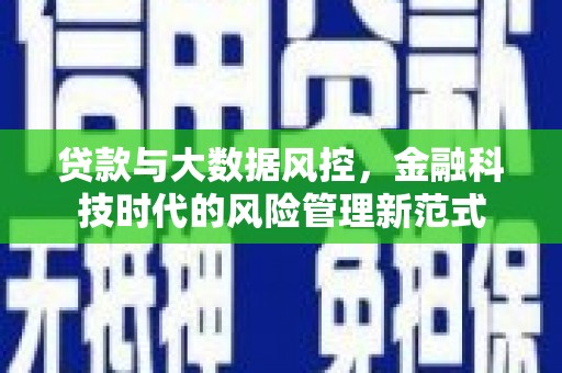 丽水贷款与大数据风控，金融科技时代的风险管理新范式