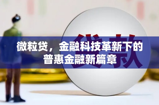 丽水微粒贷，金融科技革新下的普惠金融新篇章