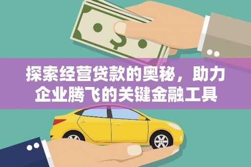 丽水探索经营贷款的奥秘，助力企业腾飞的关键金融工具
