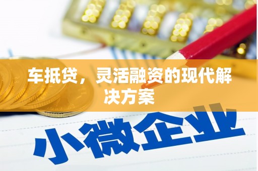 丽水车抵贷，灵活融资的现代解决方案