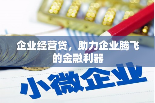 丽水企业经营贷，助力企业腾飞的金融利器