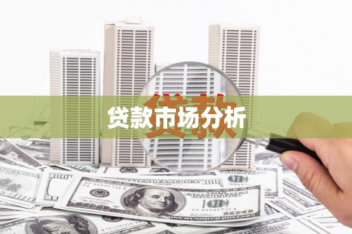 丽水贷款市场分析