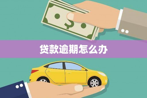 丽水贷款逾期怎么办