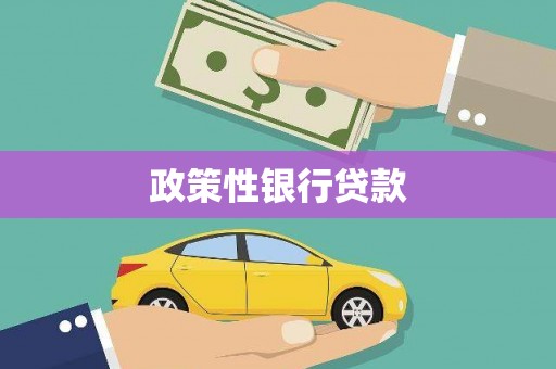 丽水政策性银行贷款