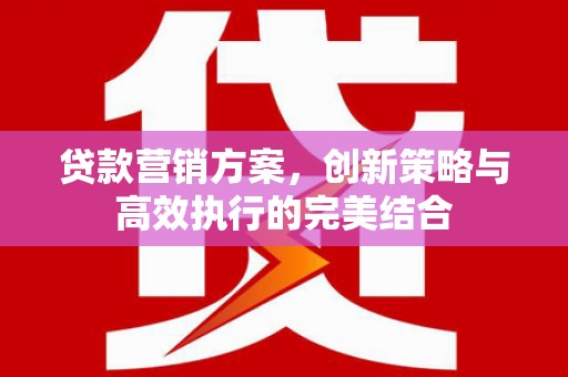 丽水贷款营销方案，创新策略与高效执行的完美结合