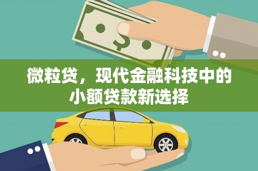 丽水微粒贷，现代金融科技中的小额贷款新选择
