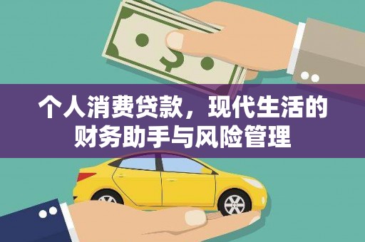 丽水个人消费贷款，现代生活的财务助手与风险管理