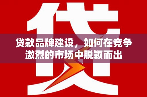 丽水贷款品牌建设，如何在竞争激烈的市场中脱颖而出