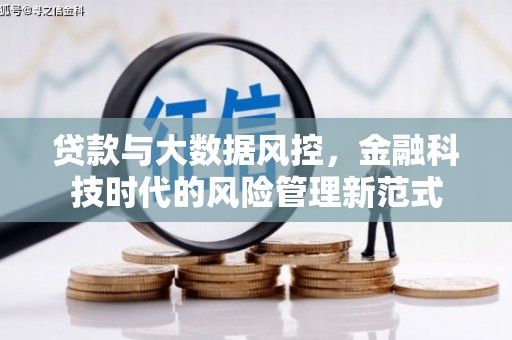 丽水贷款与大数据风控，金融科技时代的风险管理新范式