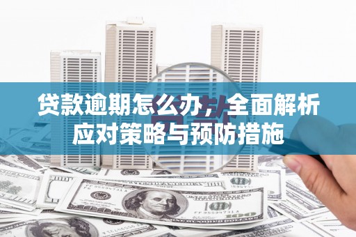 丽水贷款逾期怎么办，全面解析应对策略与预防措施