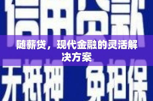 丽水随薪贷，现代金融的灵活解决方案