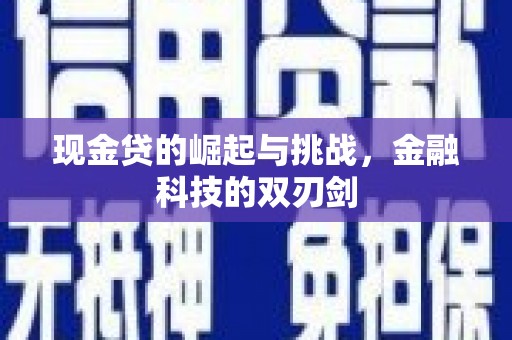 丽水现金贷的崛起与挑战，金融科技的双刃剑