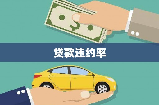 丽水贷款违约率