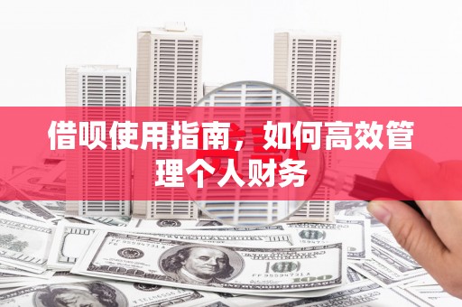 丽水借呗使用指南，如何高效管理个人财务