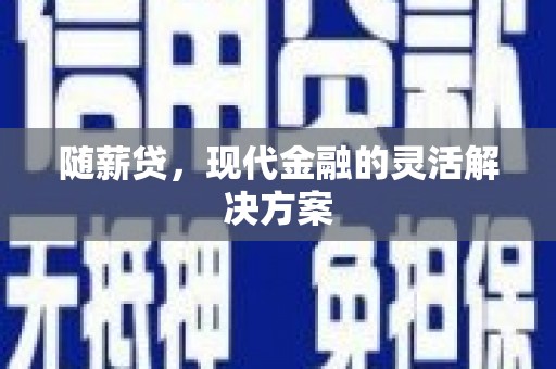 丽水随薪贷，现代金融的灵活解决方案