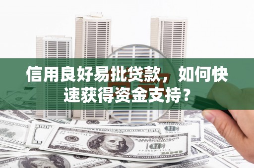 丽水信用良好易批贷款，如何快速获得资金支持？