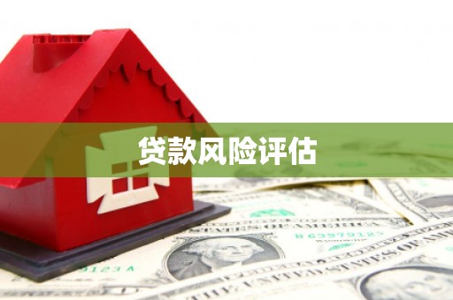 丽水贷款风险评估