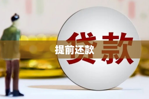 丽水提前还款