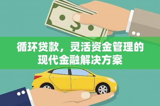 丽水循环贷款，灵活资金管理的现代金融解决方案