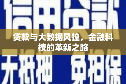 丽水贷款与大数据风控，金融科技的革新之路