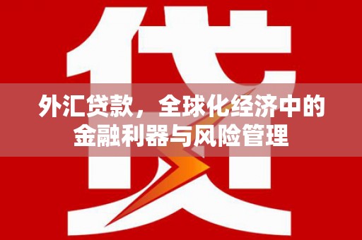 丽水外汇贷款，全球化经济中的金融利器与风险管理