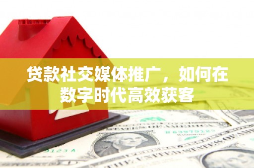 丽水贷款社交媒体推广，如何在数字时代高效获客