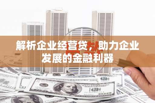 丽水解析企业经营贷，助力企业发展的金融利器