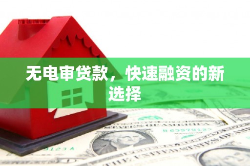 丽水无电审贷款，快速融资的新选择