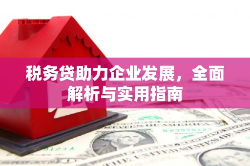 丽水税务贷助力企业发展，全面解析与实用指南