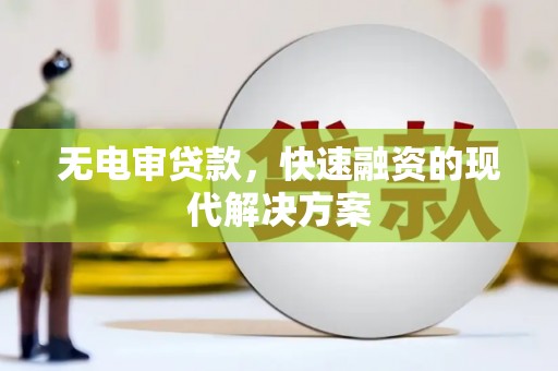 丽水无电审贷款，快速融资的现代解决方案