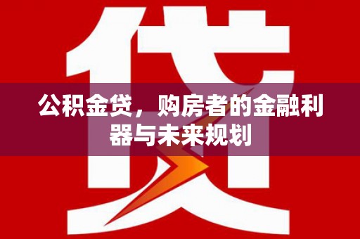 丽水公积金贷，购房者的金融利器与未来规划