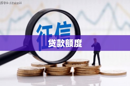 丽水贷款额度