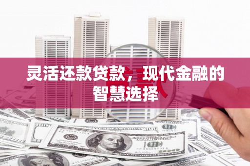丽水灵活还款贷款，现代金融的智慧选择