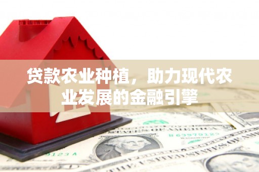 丽水贷款农业种植，助力现代农业发展的金融引擎