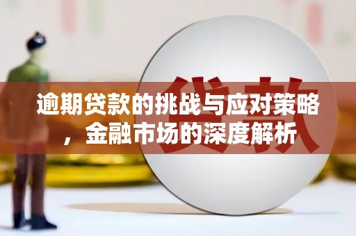 丽水逾期贷款的挑战与应对策略，金融市场的深度解析