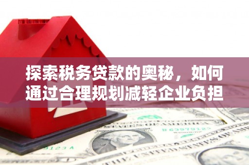 丽水探索税务贷款的奥秘，如何通过合理规划减轻企业负担