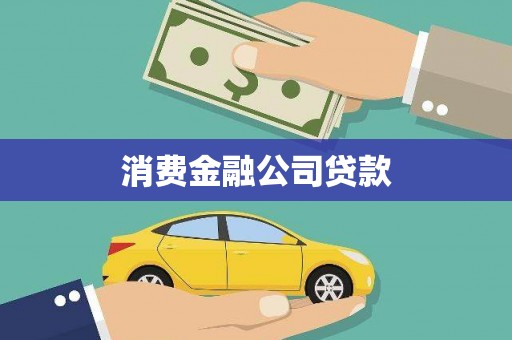丽水消费金融公司贷款