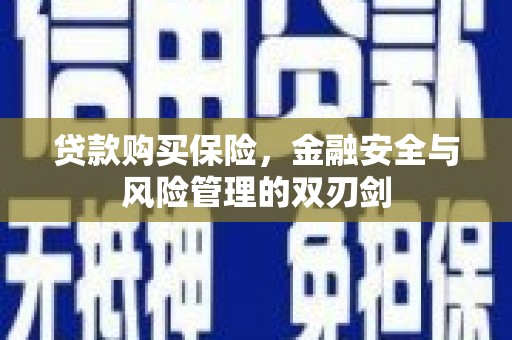 丽水贷款购买保险，金融安全与风险管理的双刃剑