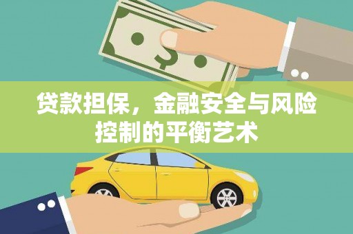 丽水贷款担保，金融安全与风险控制的平衡艺术