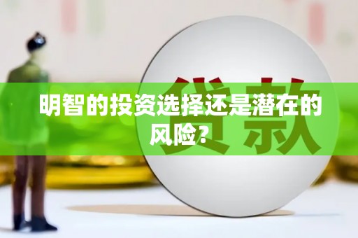 丽水明智的投资选择还是潜在的风险？