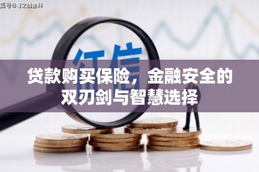 丽水贷款购买保险，金融安全的双刃剑与智慧选择