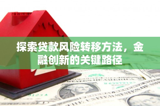 丽水探索贷款风险转移方法，金融创新的关键路径