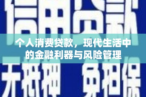 丽水个人消费贷款，现代生活中的金融利器与风险管理
